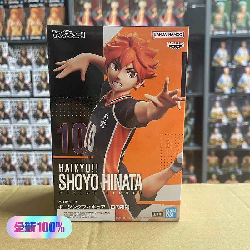 Shoyo Hinata